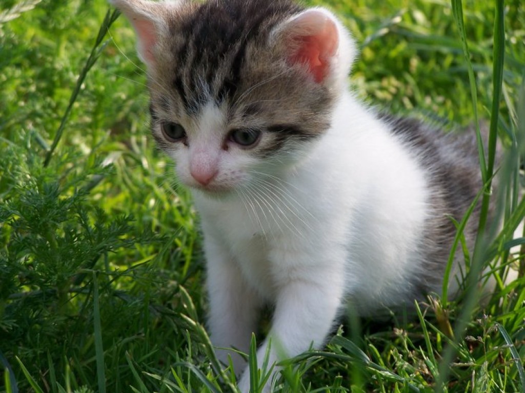 Laureaci i wyróżnieni w konkursie pt. 