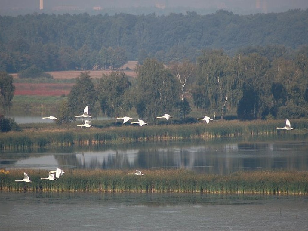 Dolina Karpia. 40 metrów nad ziemią. 11.09.2006