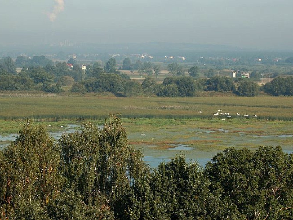 Dolina Karpia. 40 metrów nad ziemią. 11.09.2006
