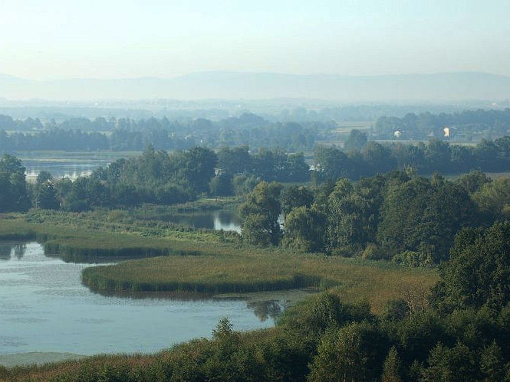 Dolina Karpia. 40 metrów nad ziemią. 11.09.2006