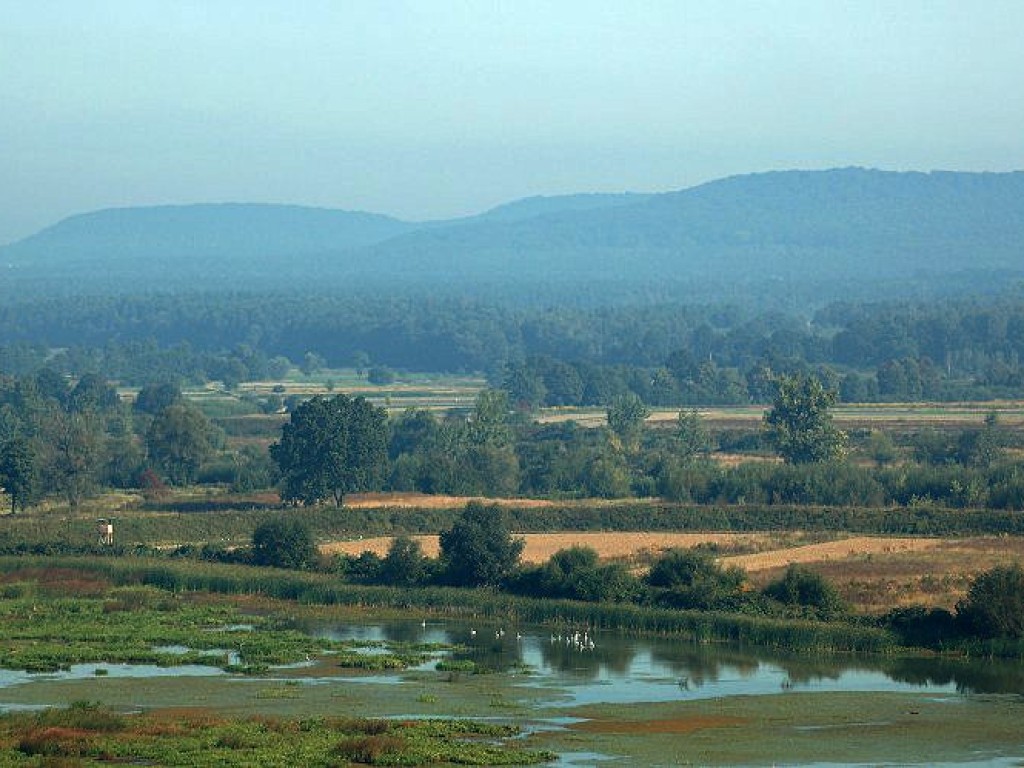 Dolina Karpia. 40 metrów nad ziemią. 11.09.2006