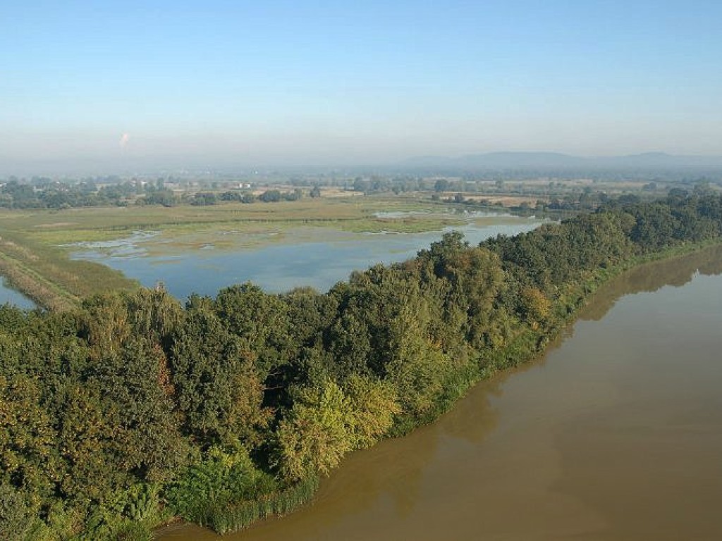 Dolina Karpia. 40 metrów nad ziemią. 11.09.2006