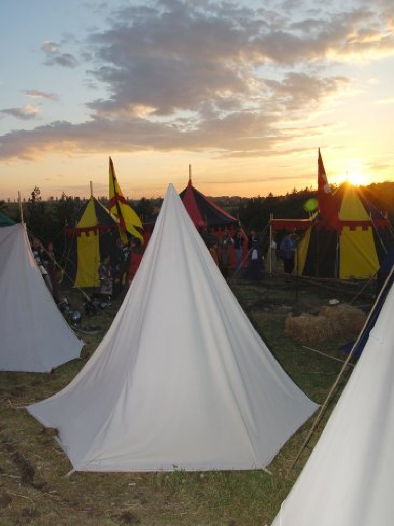 V Turniej Rycerski na zamku w Rabsztynie 7-8.07. 2007 r.