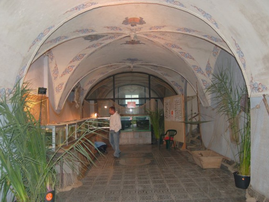 Zamek w Zatorze - wystawa ryb słodkowodnych 7.07.2007 r.