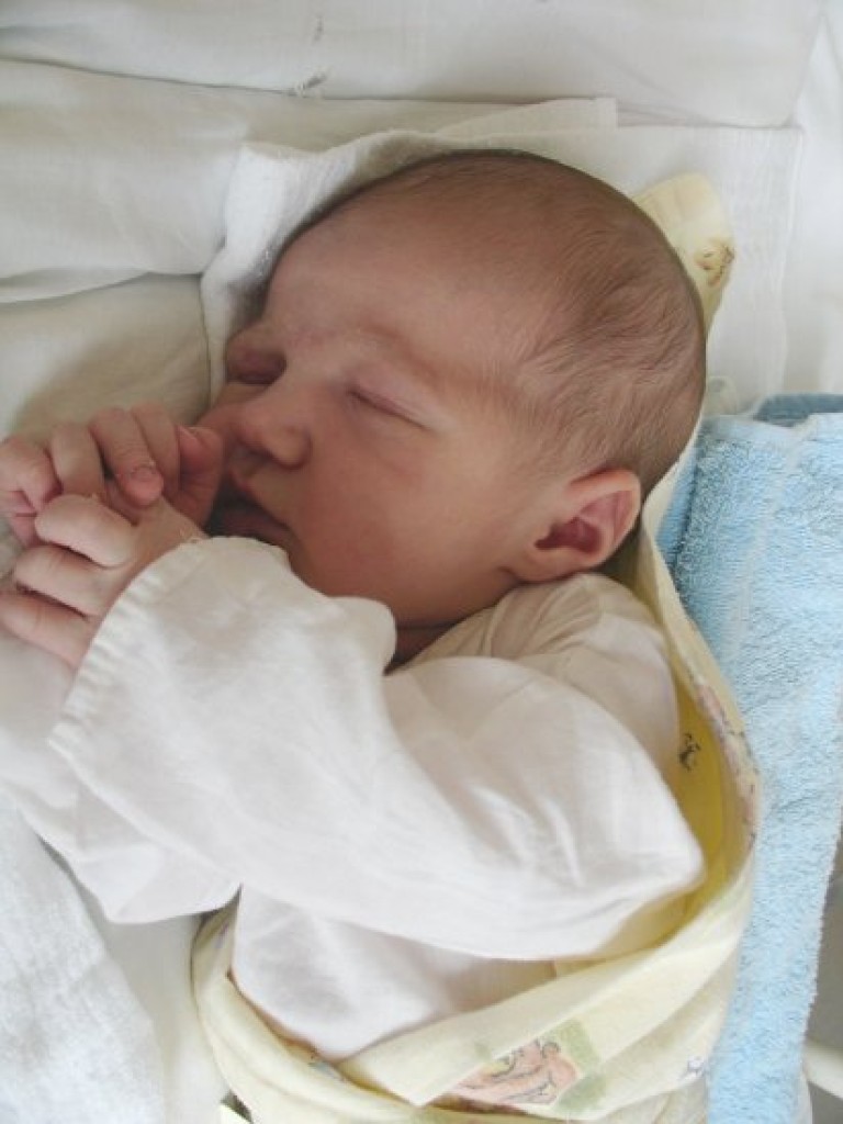 Co Wam przyniósł bocian - dzieci urodzone w chrzanowskim szpitalu powiatowym - czerwiec 2008 r.