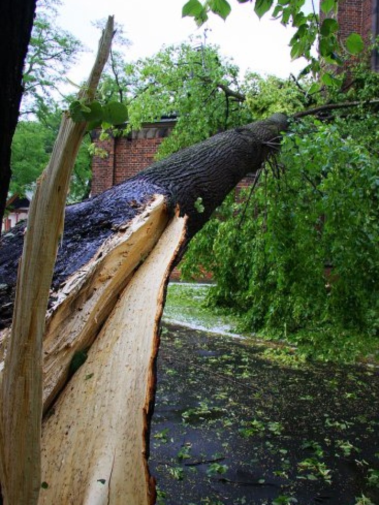 Nawałnica przeszła nad Krzeszowicami - 23.06.2008 r.