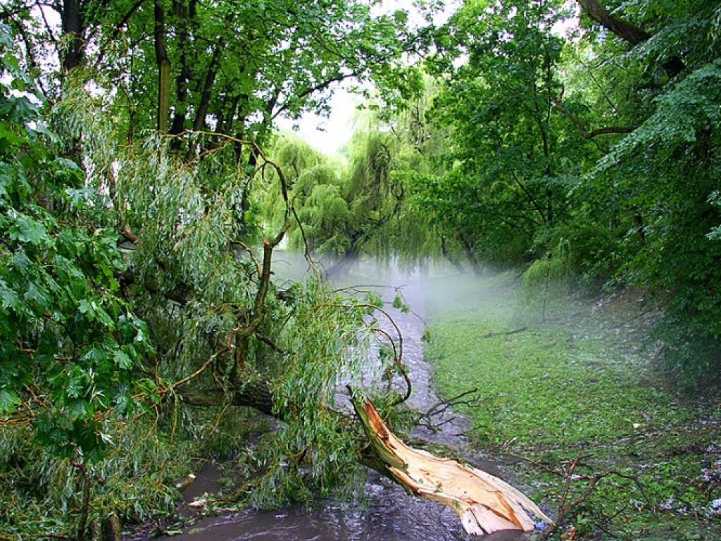 Nawałnica przeszła nad Krzeszowicami - 23.06.2008 r.