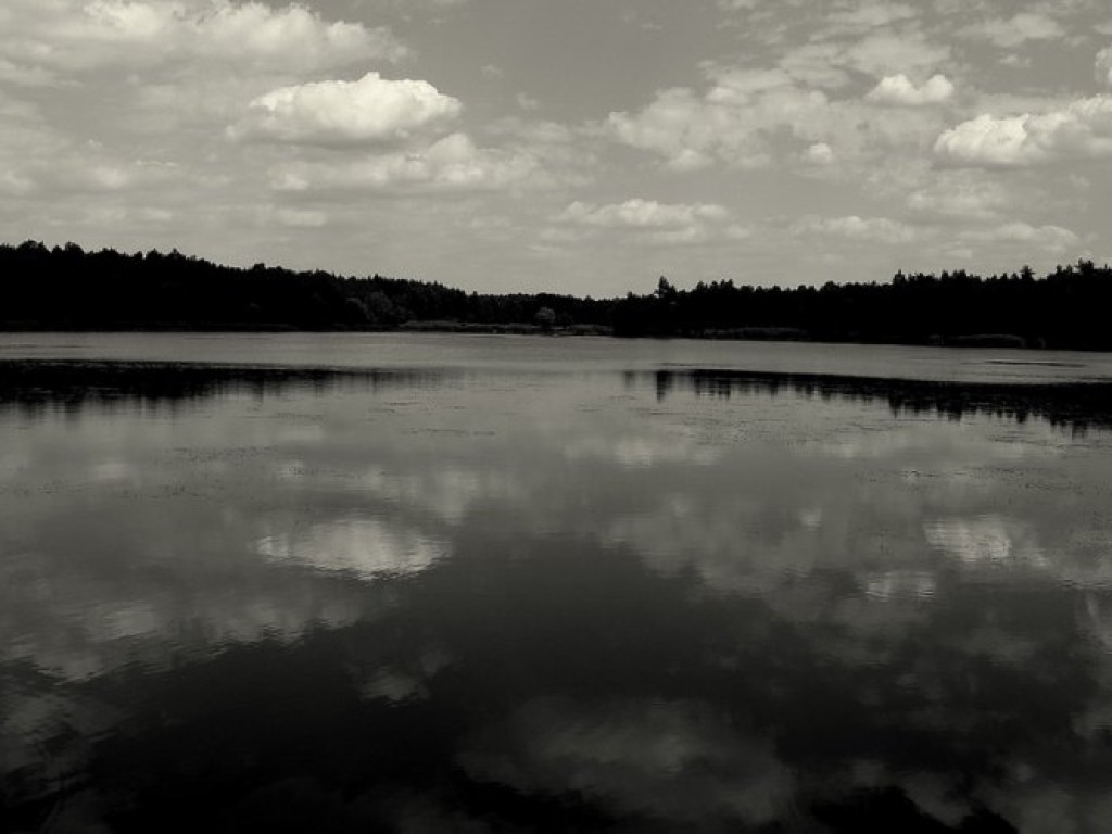 Zdjęcia uczestników konkursu fotograficznego pt. 