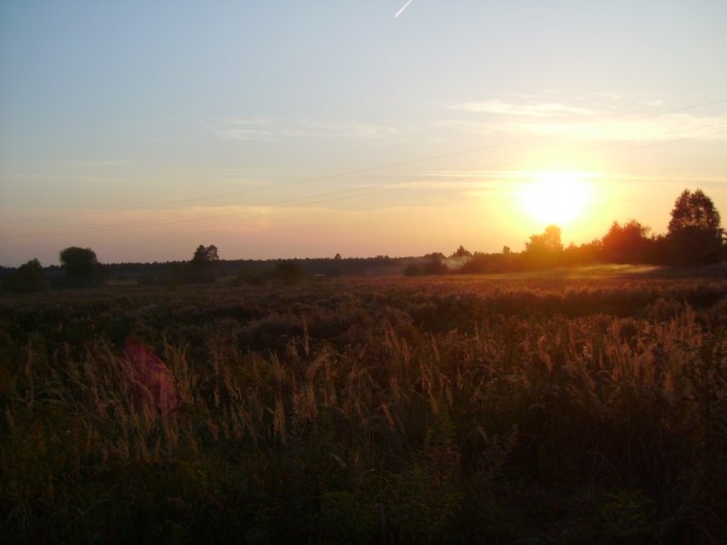 Zdjęcia uczestników konkursu fotograficznego pt. 