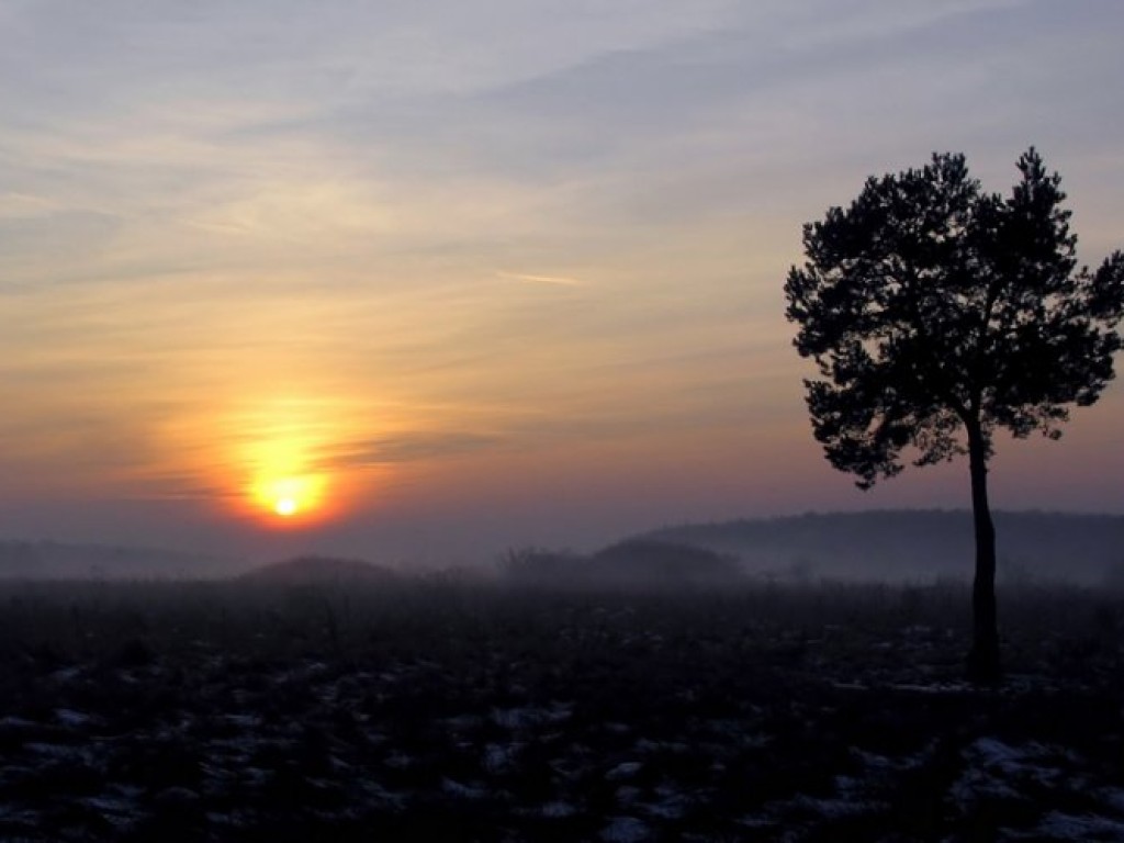 Zdjęcia uczestników konkursu fotograficznego pt. 