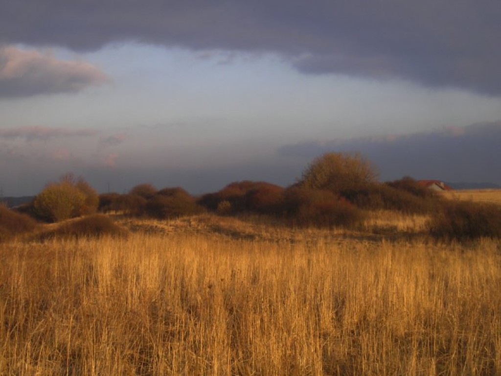 Zdjęcia uczestników konkursu fotograficznego pt. 