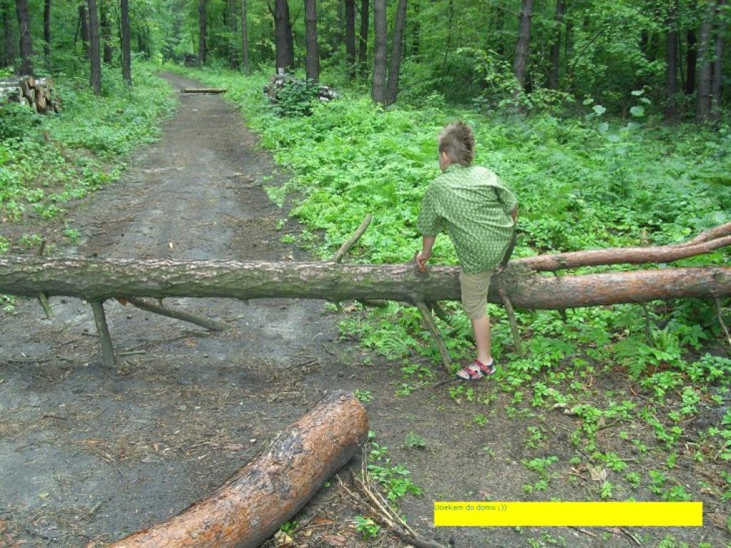 Zdjęcia uczestników konkursu fotograficznego pt. 