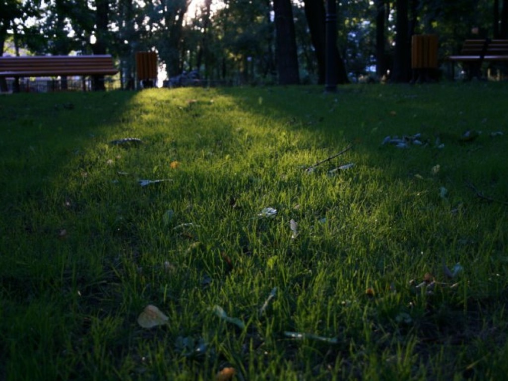 Zdjęcia uczestników konkursu fotograficznego pt. 