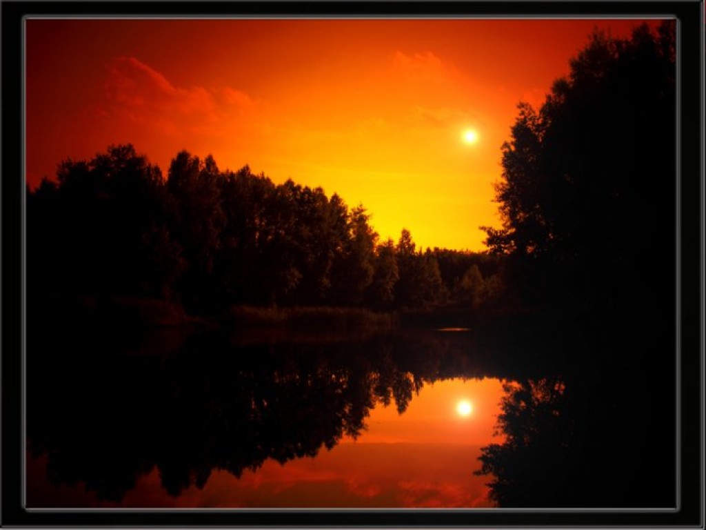 Zdjęcia uczestników konkursu fotograficznego pt. 