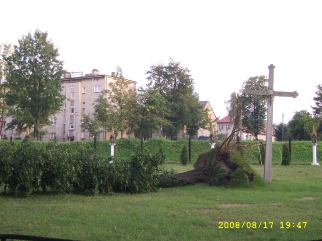 Zdjęcia uczestników konkursu fotograficznego pt. 