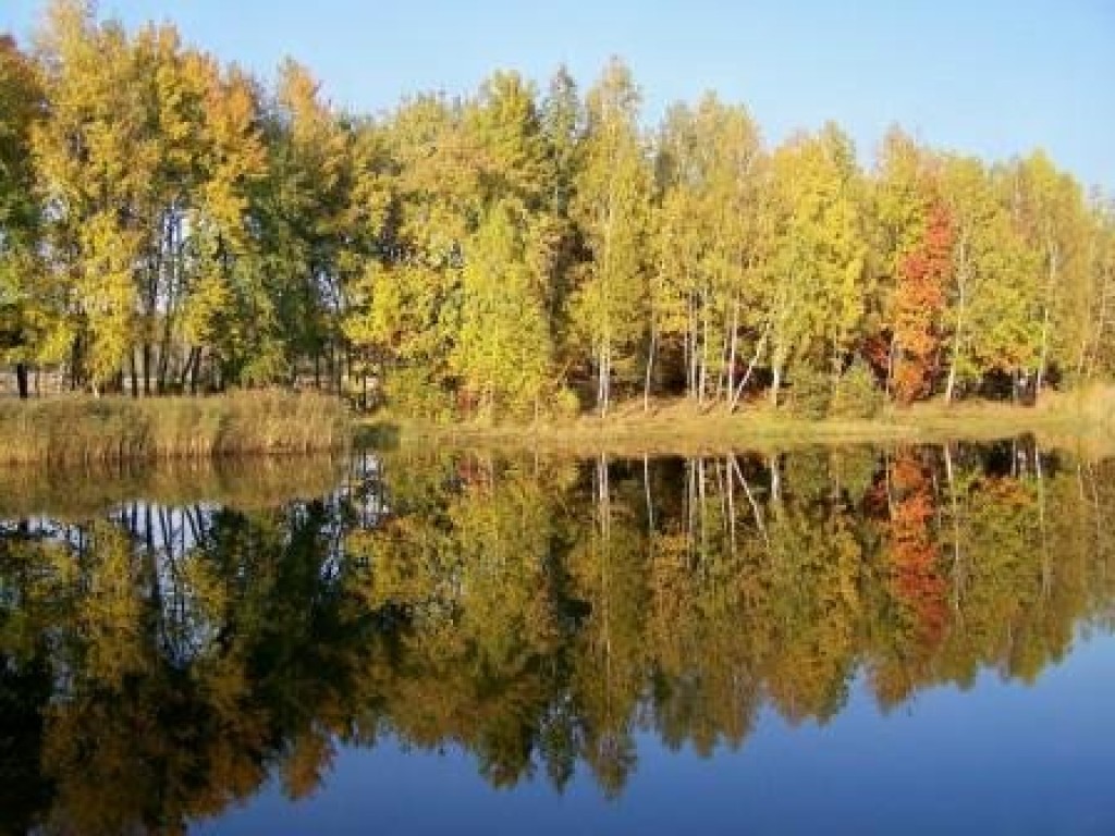 Zdjęcia uczestników konkursu fotograficznego pt. 