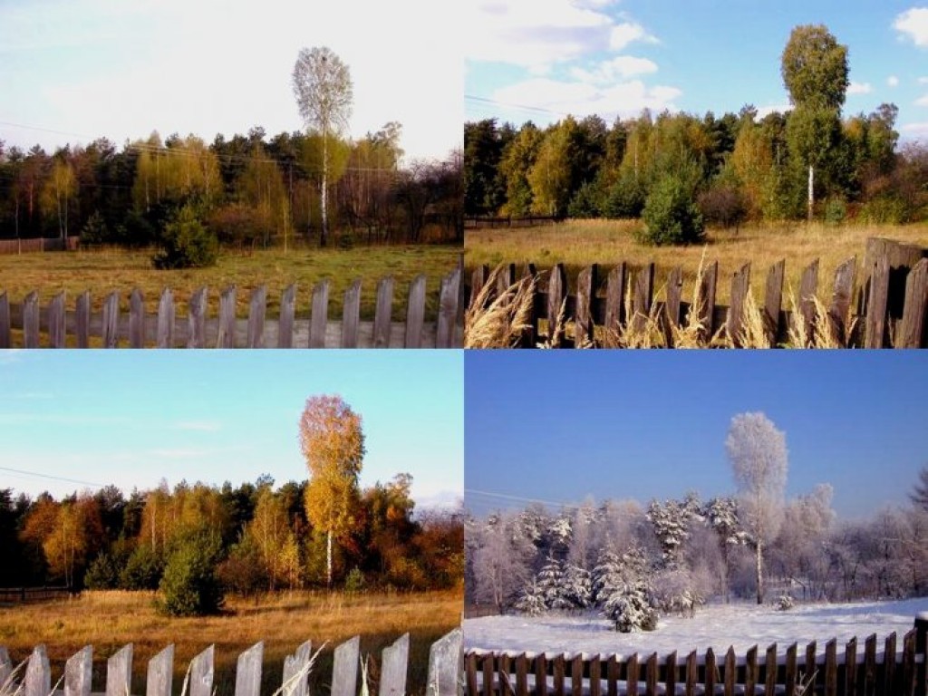 Zdjęcia uczestników konkursu fotograficznego pt. 