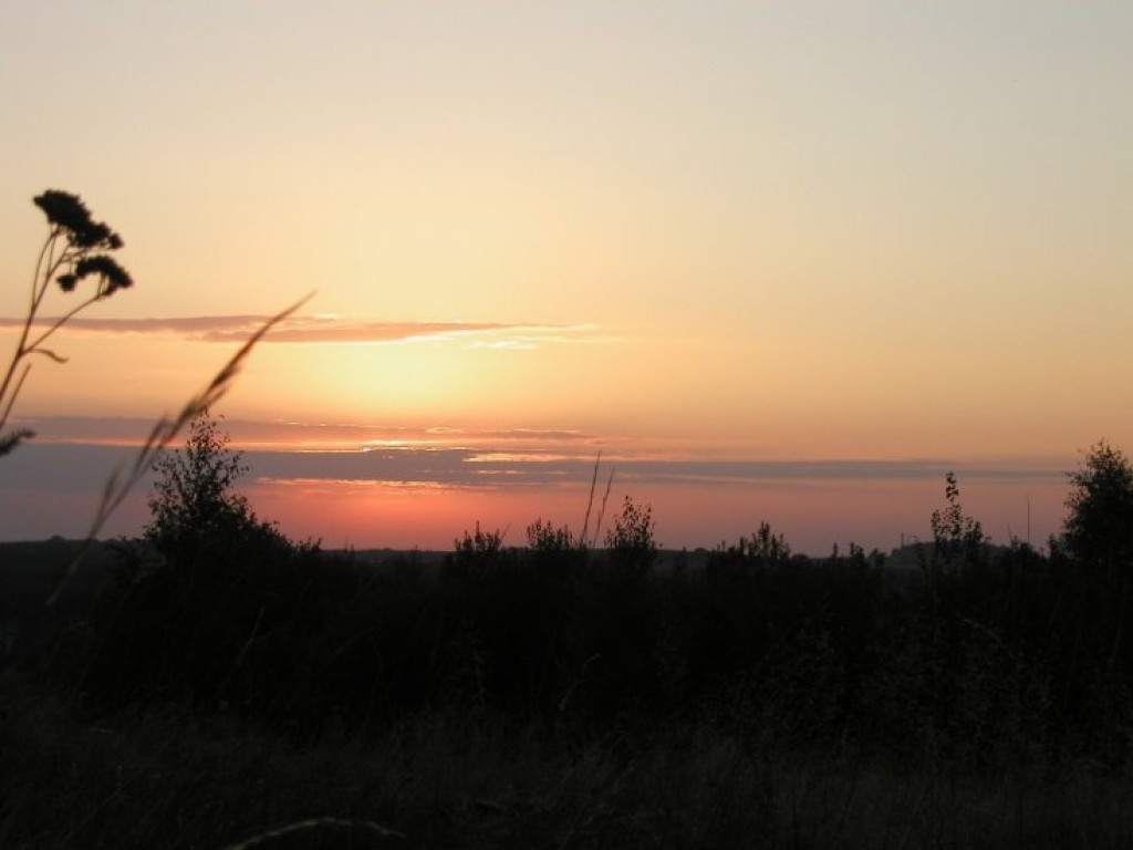 Zdjęcia uczestników konkursu fotograficznego pt. 