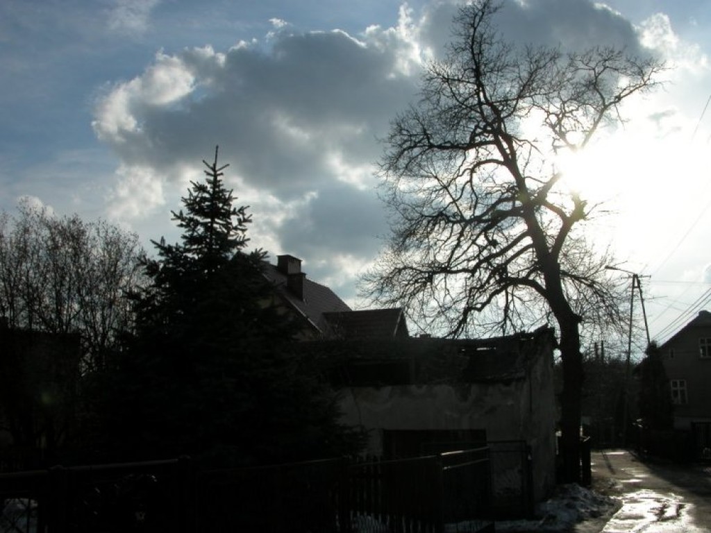 Zdjęcia uczestników konkursu fotograficznego pt. 