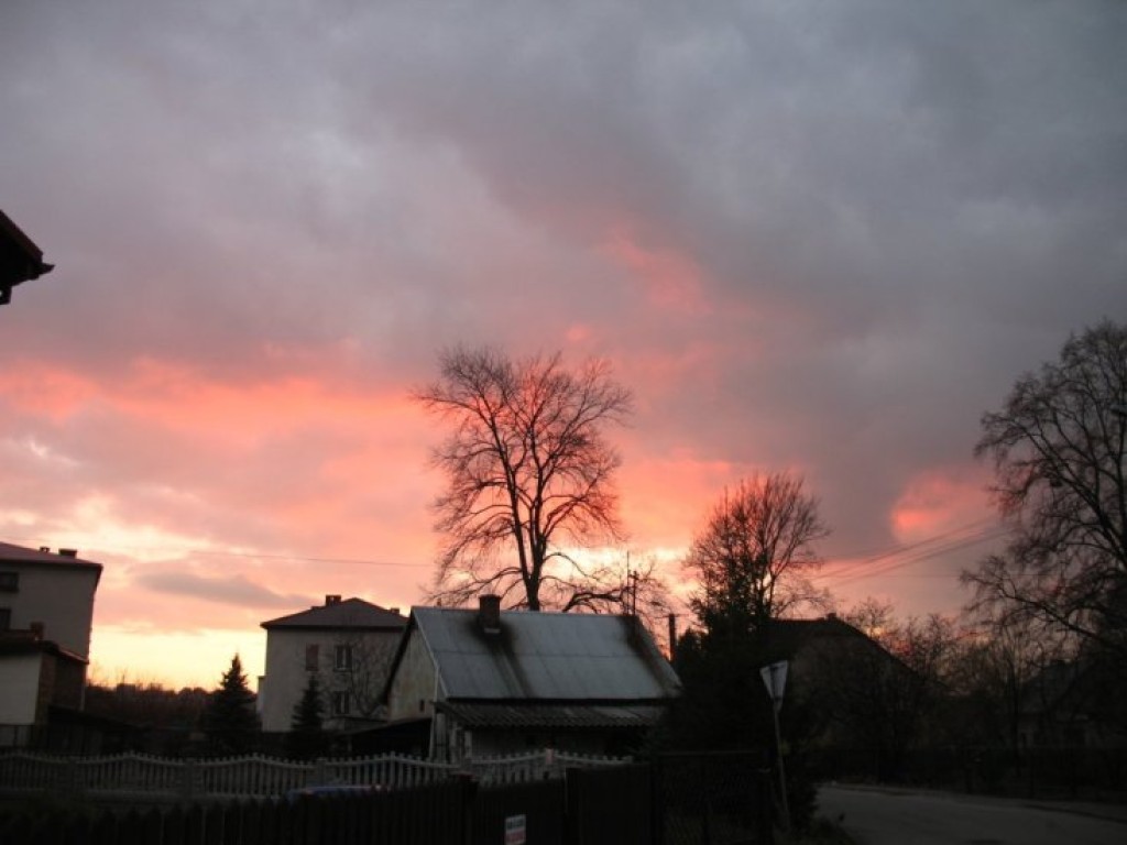 Zdjęcia uczestników konkursu fotograficznego pt. 