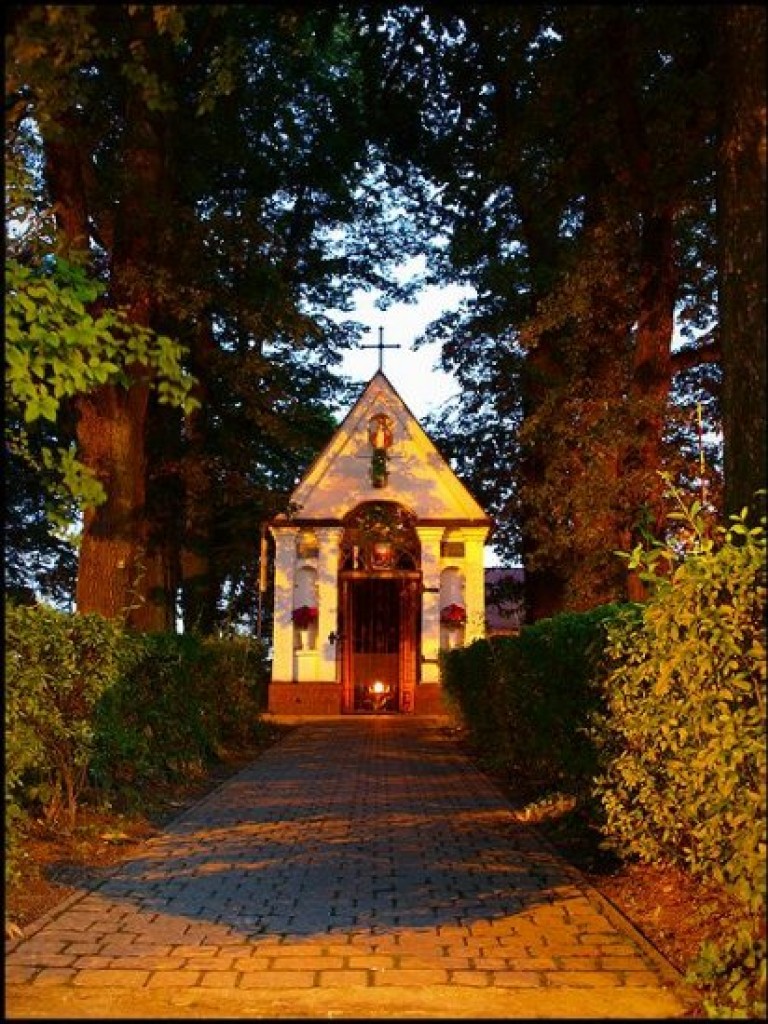 Zdjęcia uczestników konkursu fotograficznego pt. 