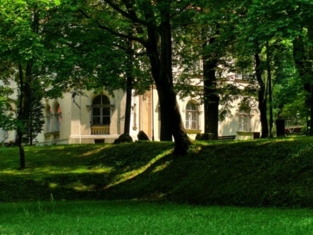 Zdjęcia uczestników konkursu fotograficznego pt. 