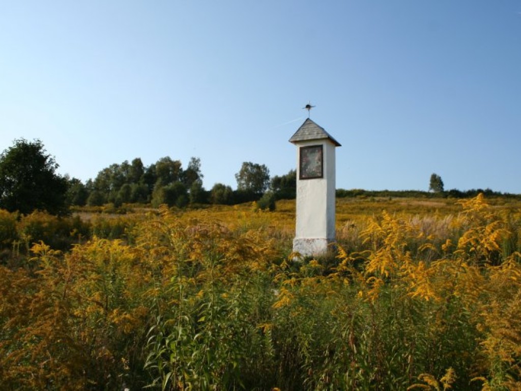 Zdjęcia uczestników konkursu fotograficznego pt. 