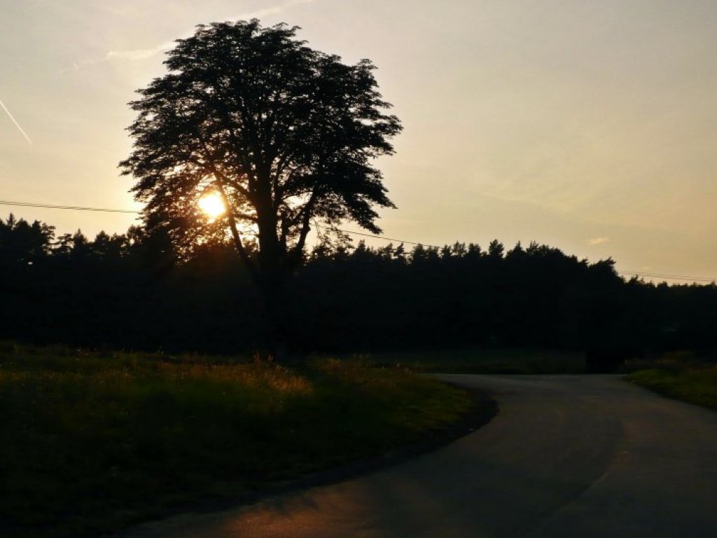 Zdjęcia uczestników konkursu fotograficznego pt. 