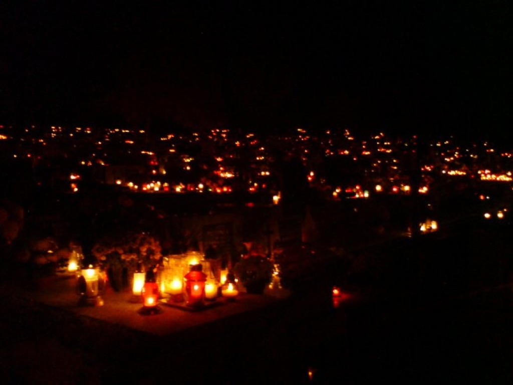 Zdjęcia uczestników konkursu fotograficznego pt. 