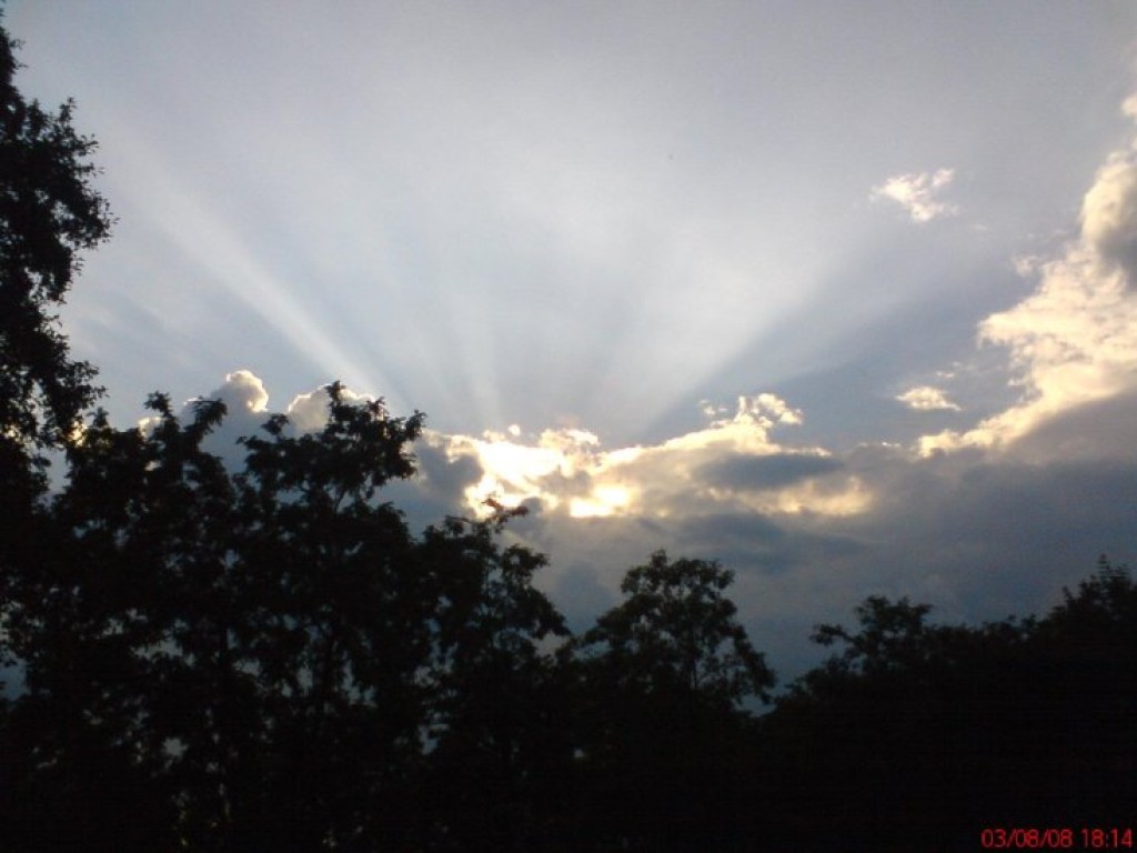 Zdjęcia uczestników konkursu fotograficznego pt. 