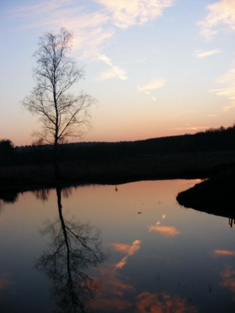 Zdjęcia uczestników konkursu fotograficznego pt. 
