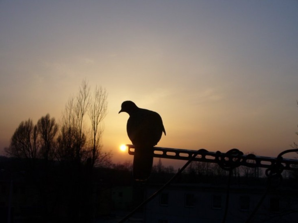 Zdjęcia uczestników konkursu fotograficznego pt. 