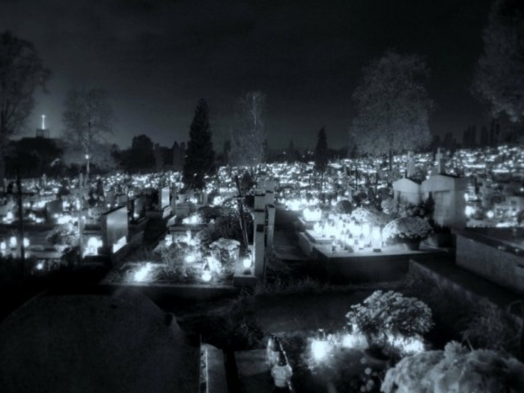 Zdjęcia uczestników konkursu fotograficznego pt. 