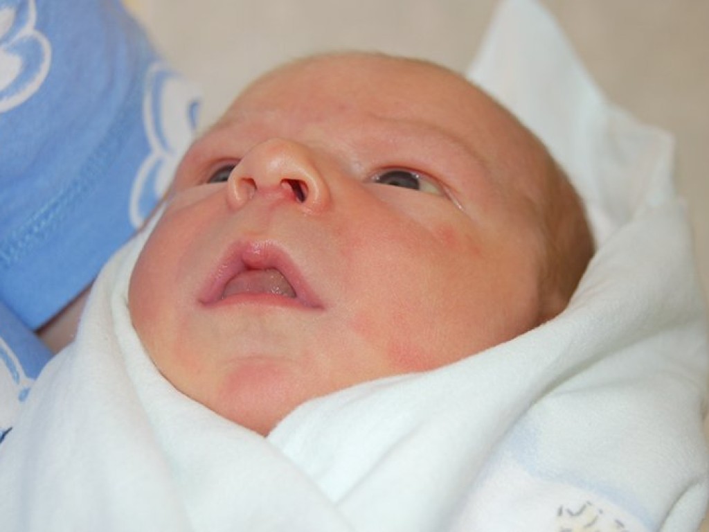 Co Wam przyniósł bocian - dzieci urodzone w chrzanowskim szpitalu powiatowym - sierpień 2008 r.