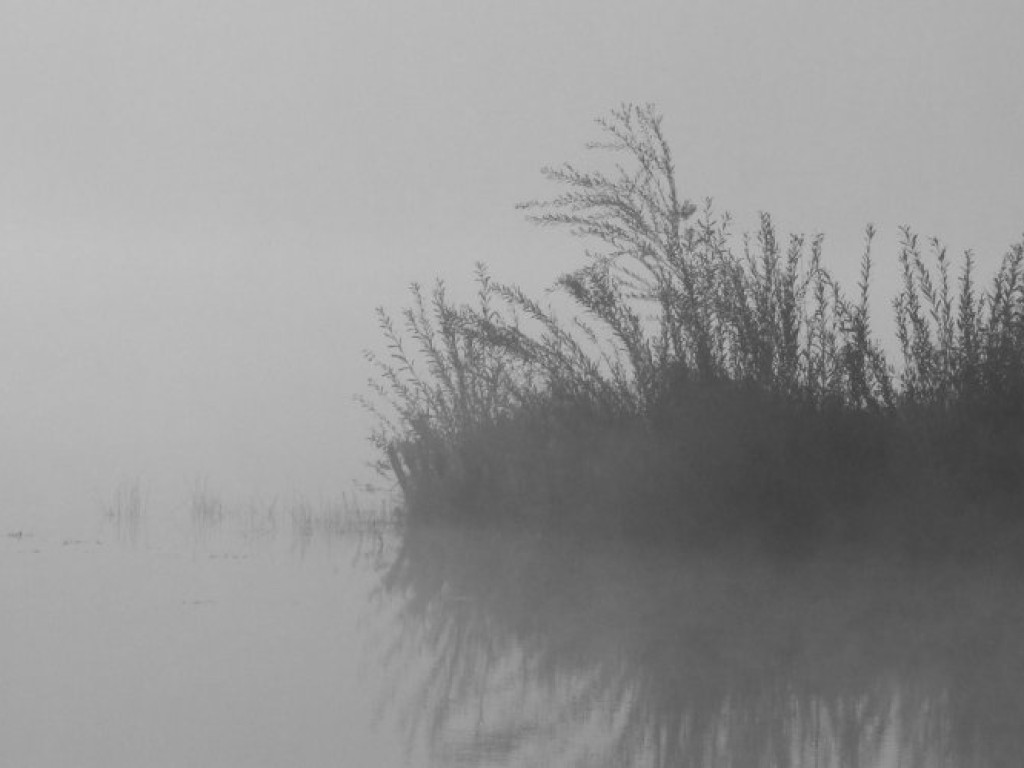 Fotografie Marka Bogusza z Chrzanowa