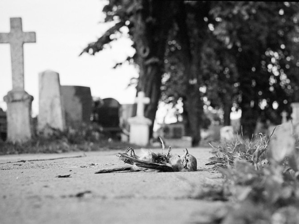 Fotografie Artura Wątroby z Chrzanowa
