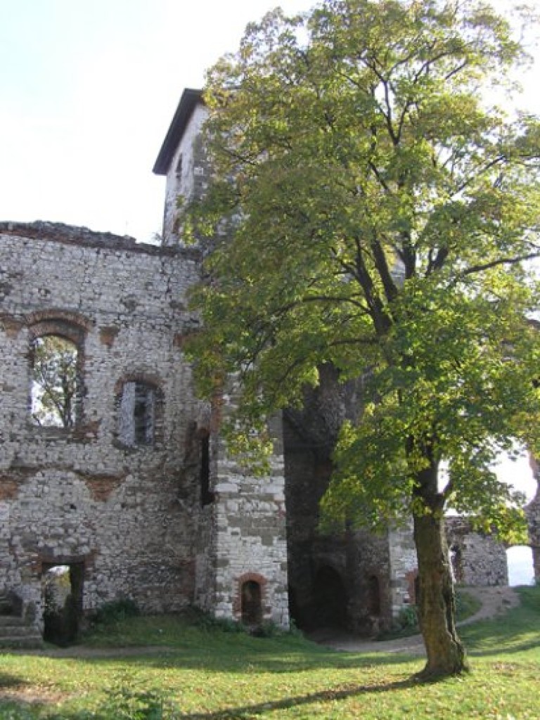 Ruiny zamku Tenczyn i pałac Potockich w Krzeszowicach - październik 2008 r.