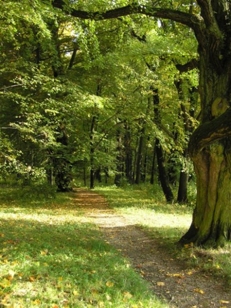 Ruiny zamku Tenczyn i pałac Potockich w Krzeszowicach - październik 2008 r.