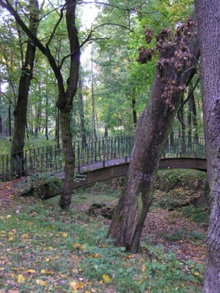 Ruiny zamku Tenczyn i pałac Potockich w Krzeszowicach - październik 2008 r.