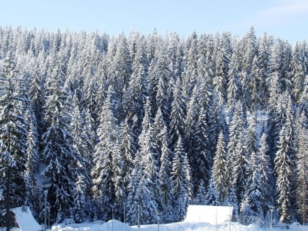 Wycieczka na Rusinową Polanę z PTTK Chrzanów 1.02.2009
