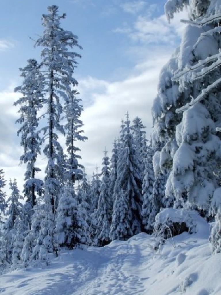 Wycieczka na Rusinową Polanę z PTTK Chrzanów 1.02.2009