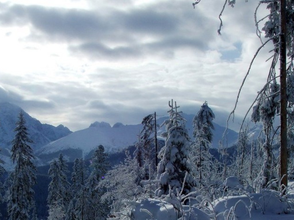 Wycieczka na Rusinową Polanę z PTTK Chrzanów 1.02.2009