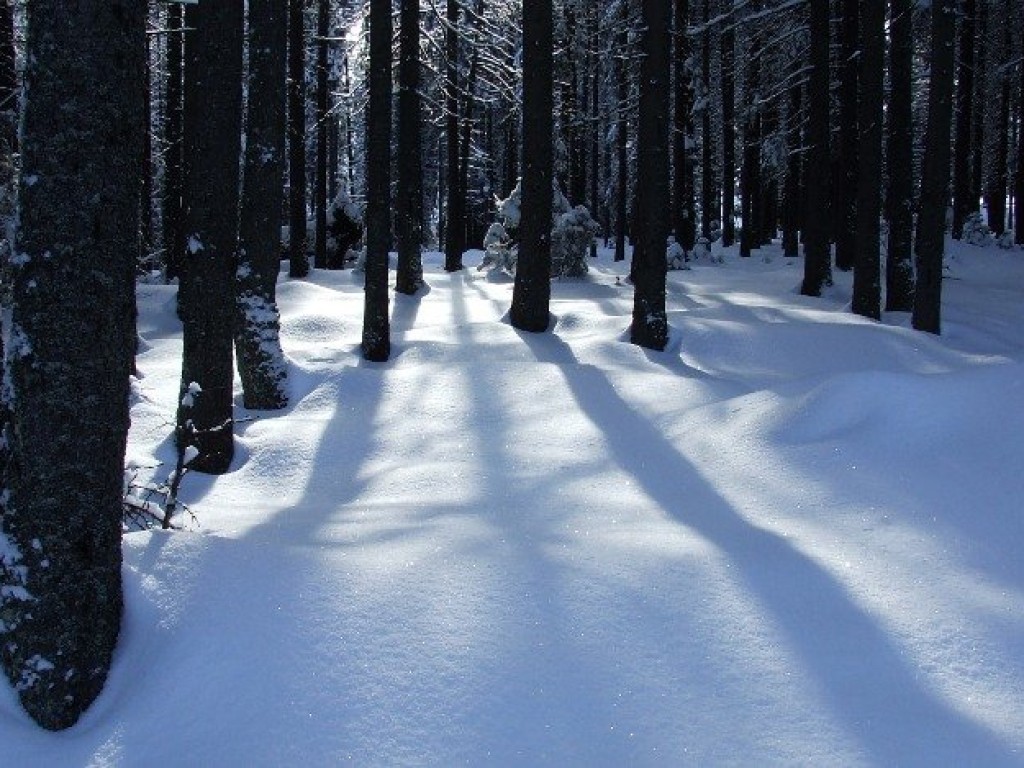 Wycieczka na Rusinową Polanę z PTTK Chrzanów 1.02.2009
