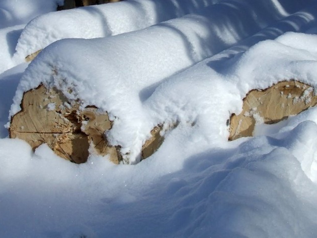 Wycieczka na Rusinową Polanę z PTTK Chrzanów 1.02.2009