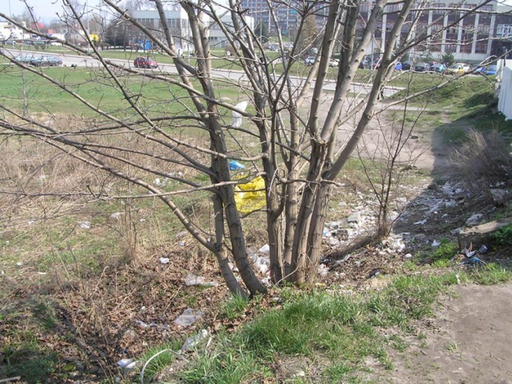 Akcja 