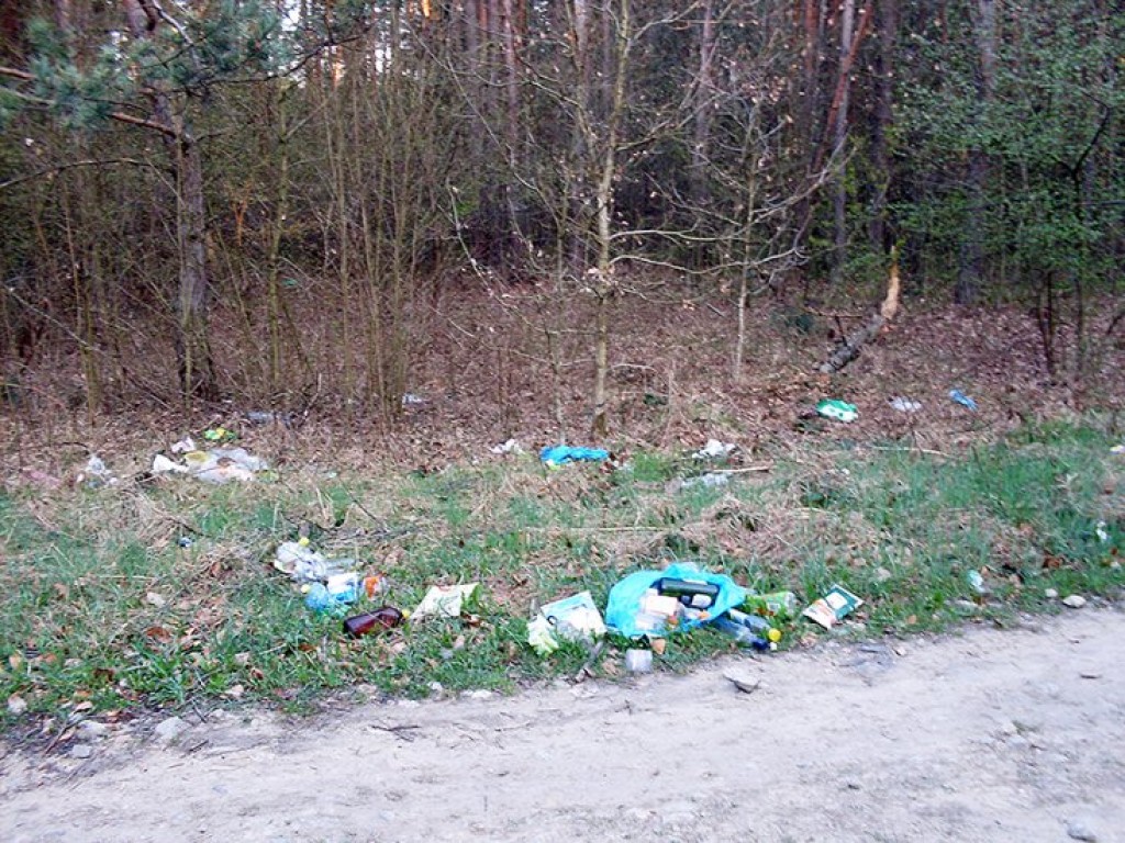 Akcja 