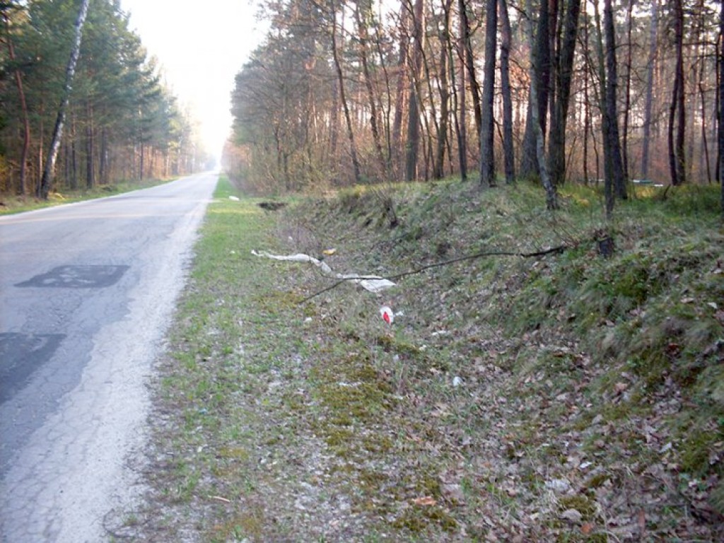 Akcja 
