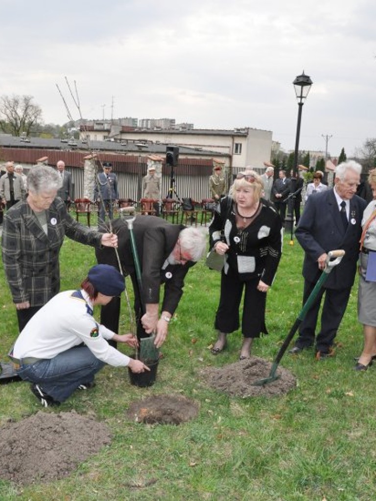 Uroczystość posadzenia dębów pamięci kapitana Mariana Pająka, kapitana Eugeniusza Raszka i porucznika Jana Lassoty, zamordowanych w Katyniu i Charkowie. Trzebinia, 17 kwietnia 2009 r.