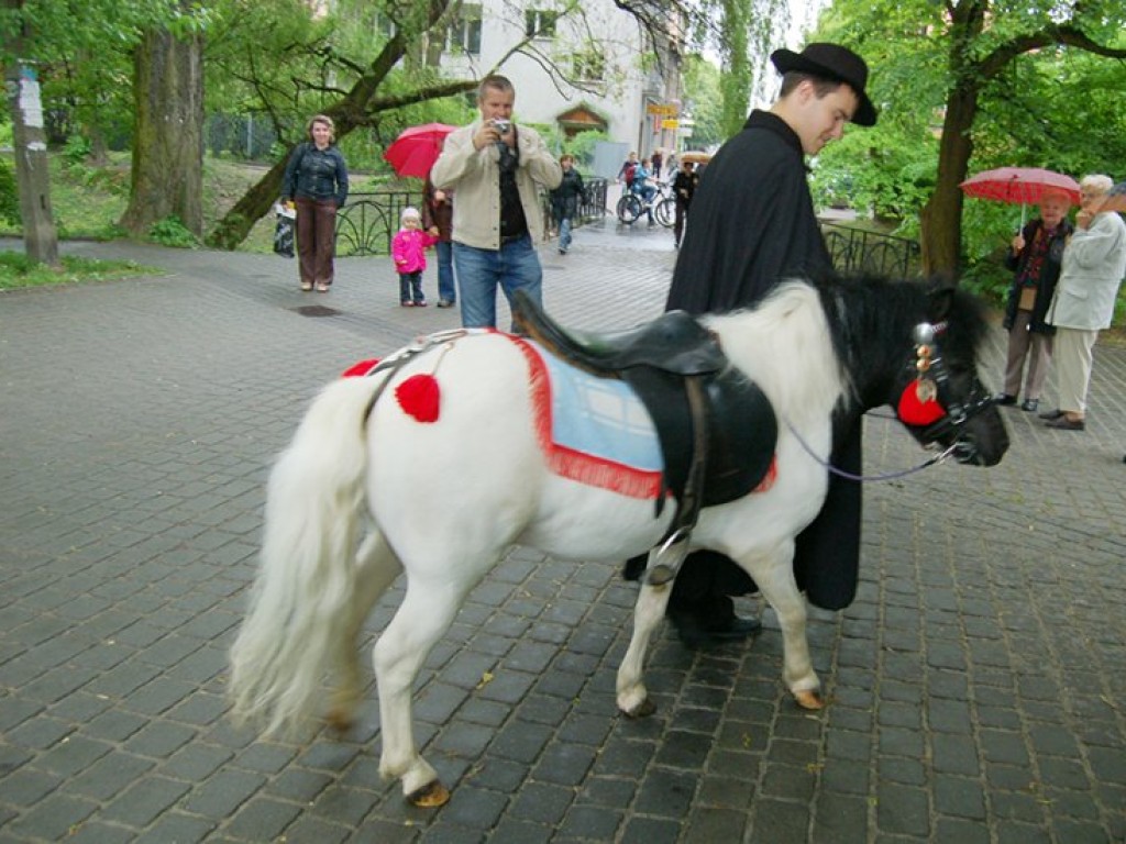 XI Małopolskie Dni Dziedzictwa Kulturowego w Krzeszowicach - 16-17.05.2009 r.