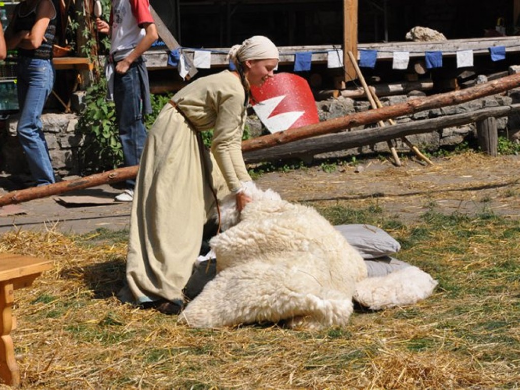 III Turniej Rycerski i Łuczniczy na zamku Lipowiec 8-9 sierpnia 2009